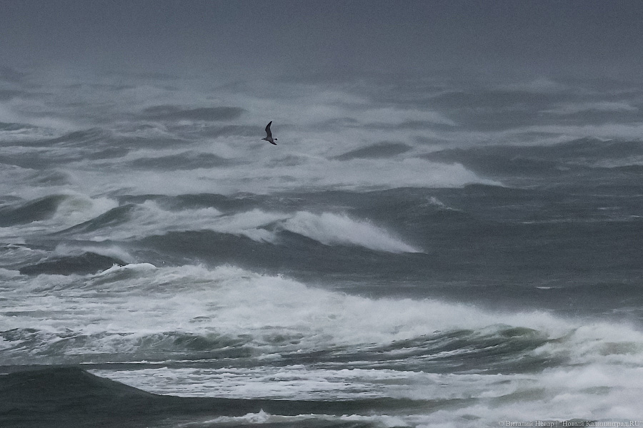 МЧС отменило штормовое предупреждение в Калининградской области