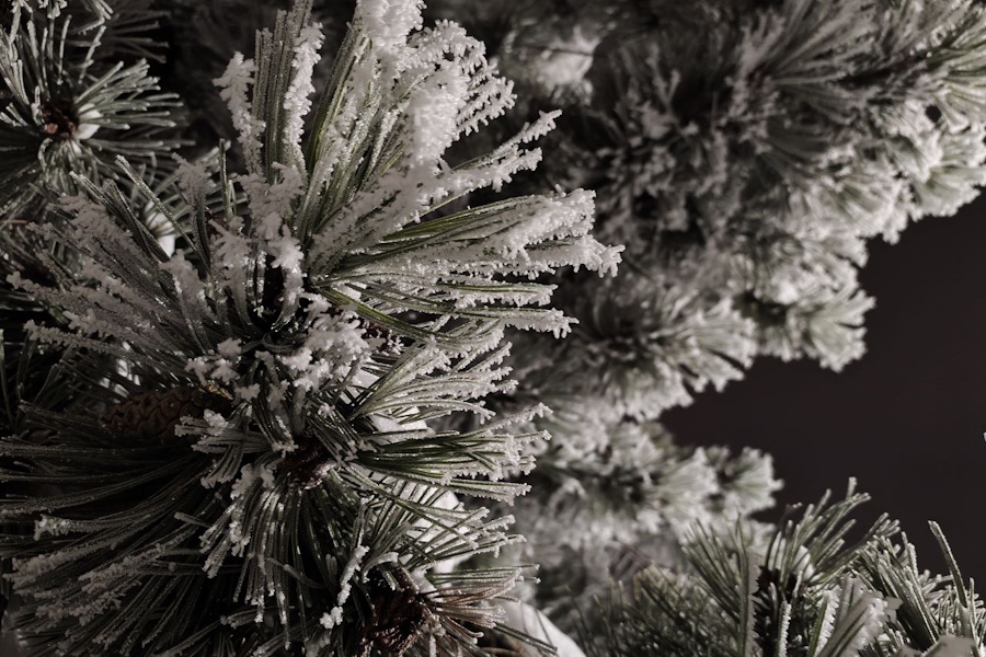 Синоптики назвали 8 января самым холодным днём с начала сезона