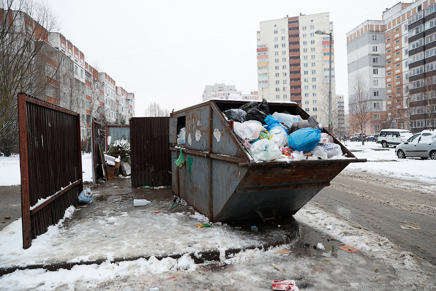 Плату за вывоз мусора в Калининградской области повышают с 1 декабря