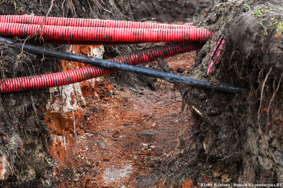 Руины Кнайпхофа: как проходит подготовка к благоустройству острова Канта (фото)