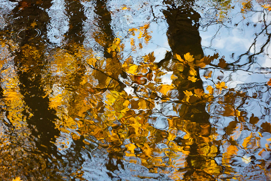 Время тыквы: как в Калининграде проходит необычная осень (фото)