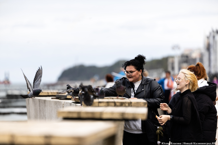 Исследование: иностранцы приезжают в Калининград за медуслугами и жильем