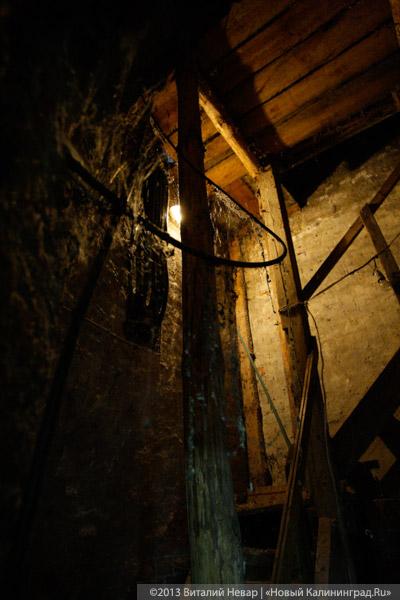 Храм науки: ученые филиала РАН, находящегося в кирхе Св. Адальберта, боятся выселения