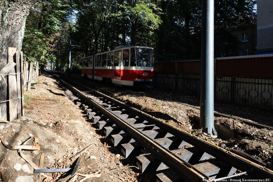 10 миллиардов «на трамвай» хотят потратить на инфраструктуру, новые вагоны и депо