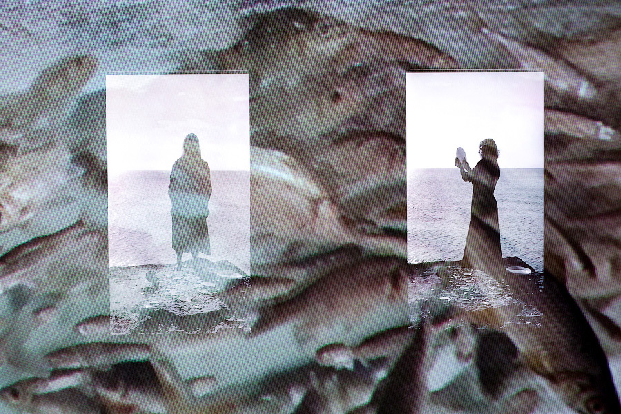 Фото: Виталий Невар / Новый Калининград 