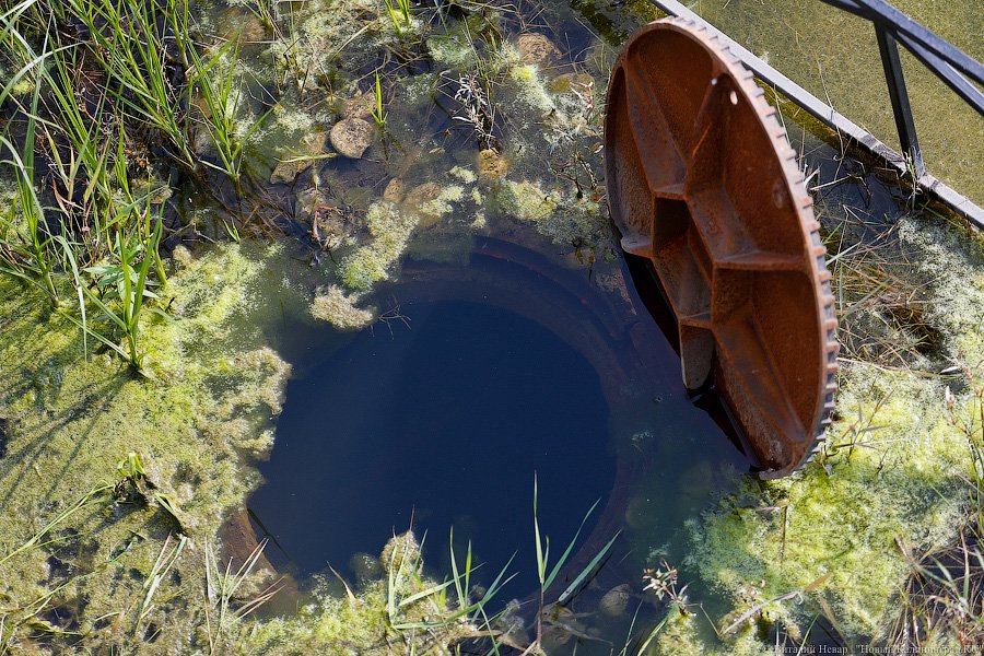 Дорожка для водного велосипеда: как тонут окрестности стадиона в Калининграде