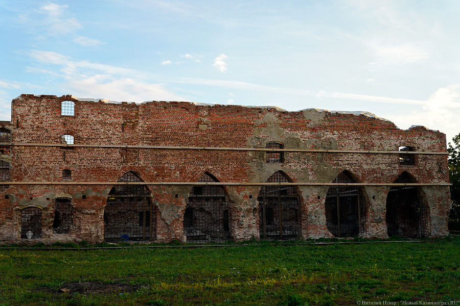 Фото: Виталий Невар / Новый Калининград