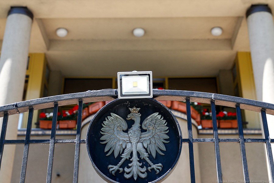 Во Вроцлаве бесплатно пускают в транспорт с книгой нобелевского лауреата из Польши