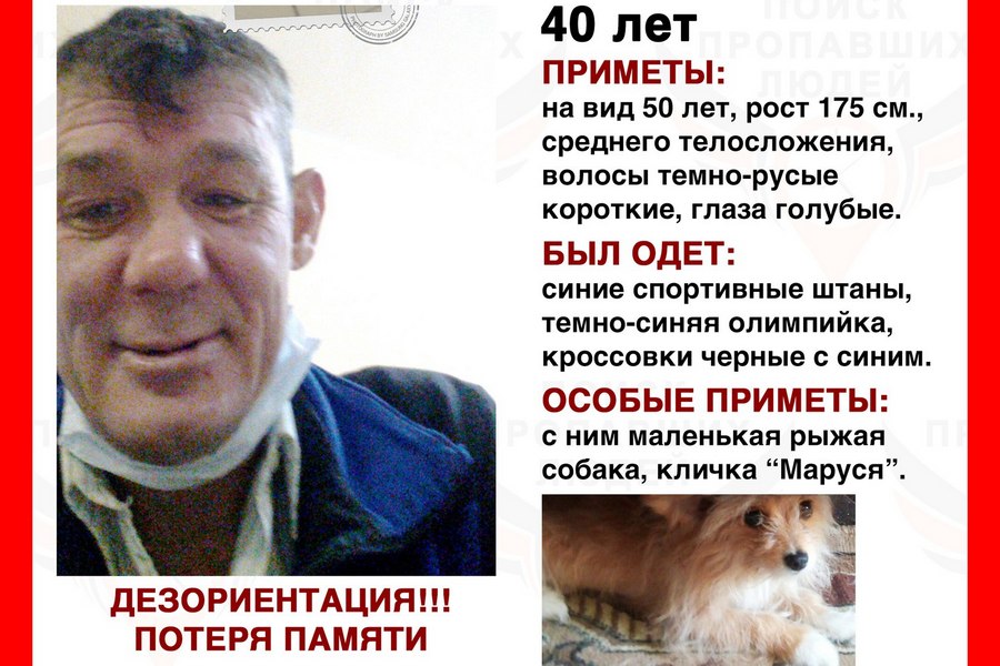 Волонтёры ищут жителя Пионерского с дезориентацией и потерей памяти