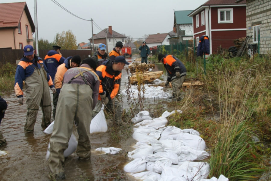 Спасатели завершили работы под Зеленоградском, где объявлялся режим ЧС