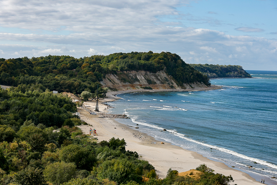 Светлогорские власти разрешили вырубить 683 дерева в Филинской бухте