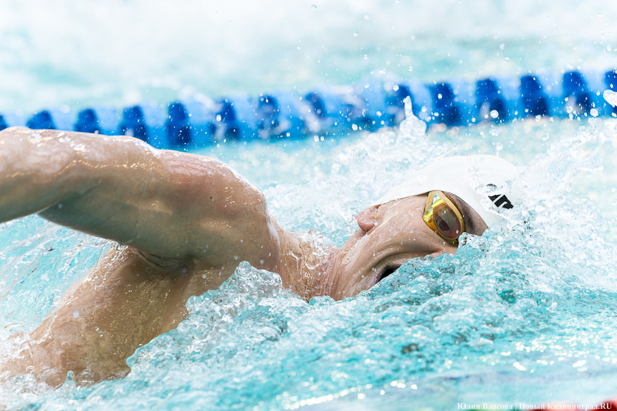 Легкой воды: как Калининград впервые принимал Кубок России по плаванию (фото)