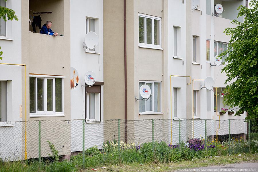 Фото — Алексей Милованов, «Новый Калининград.Ru»