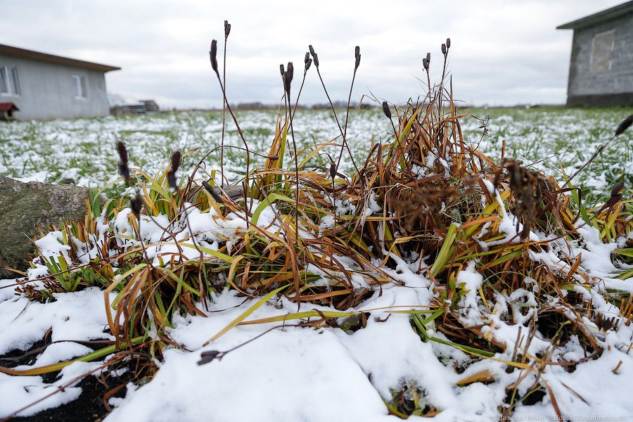 ЛЭП над головой: через дом многодетной семьи ведут электричество в «Храброво»