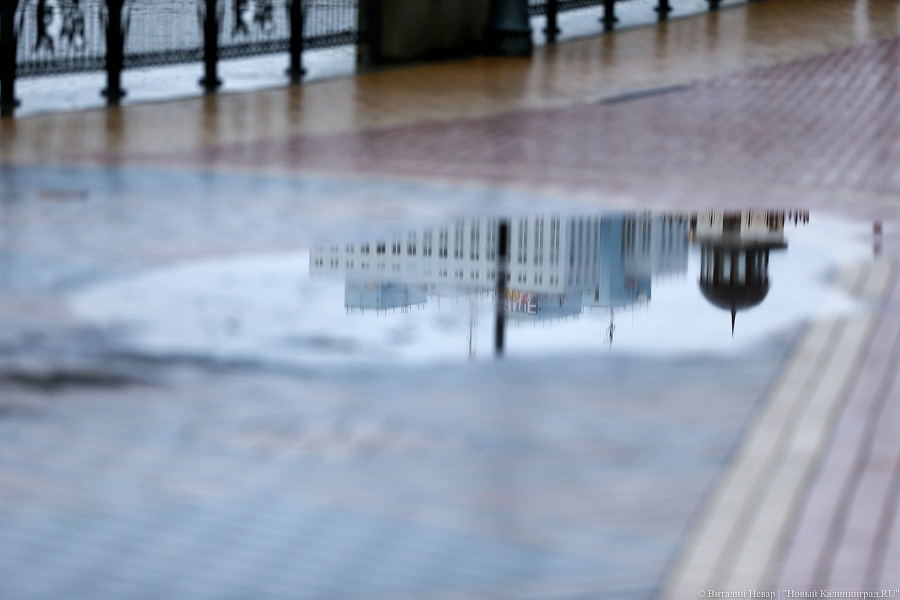 Синоптики обещают региону дождливую неделю