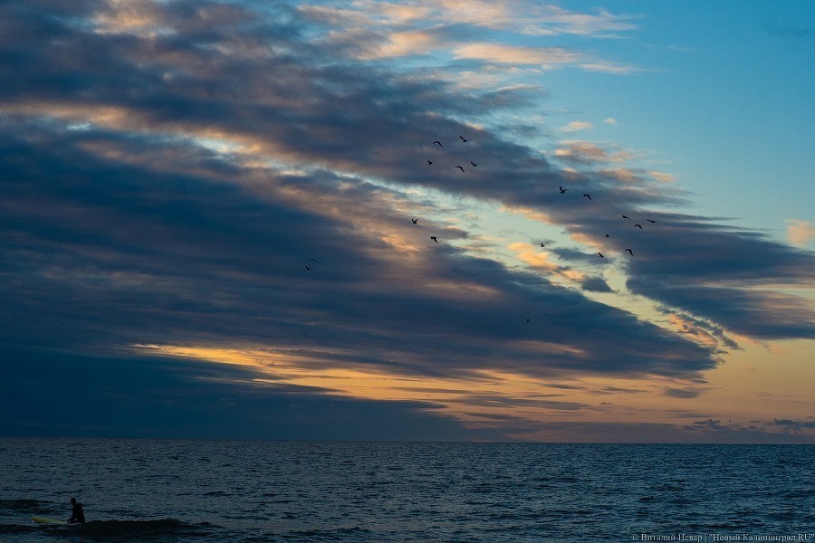 «Сёрфинг в Калининграде? Вы сдурели?»: интервью с сёрфером Евгением Исаковым