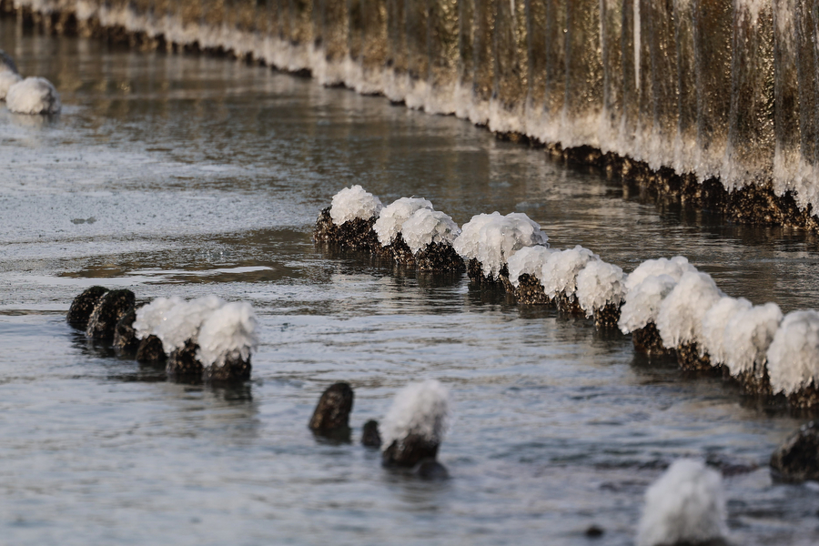 Мороз и море: как стихия украсила променад в Зеленоградске (фото)
