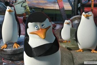 Полосатый евротур