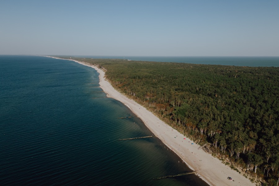 Фото предоставлено пресс-службой нацпарка «Куршская коса» 
