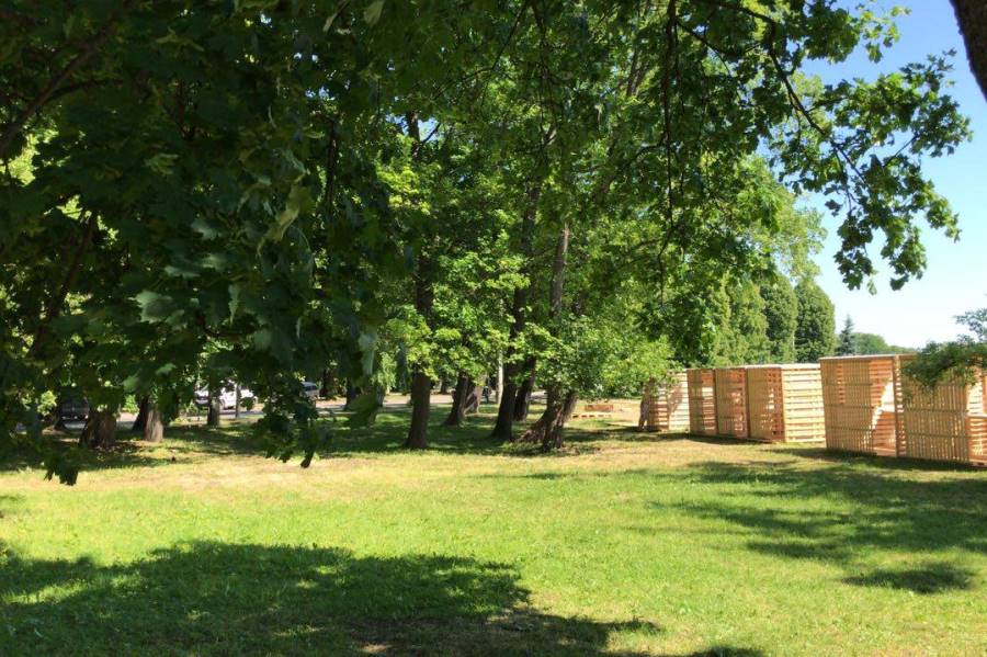 «Стрелка» о мусоре на Верхнем озере: в пятницу будет генеральная уборка