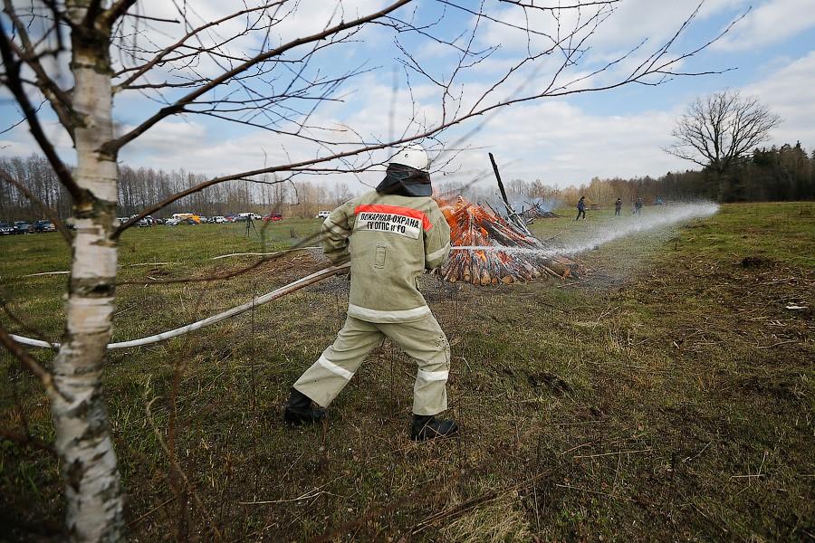 Пожарная тревога: как тушат леса в Калининградской области