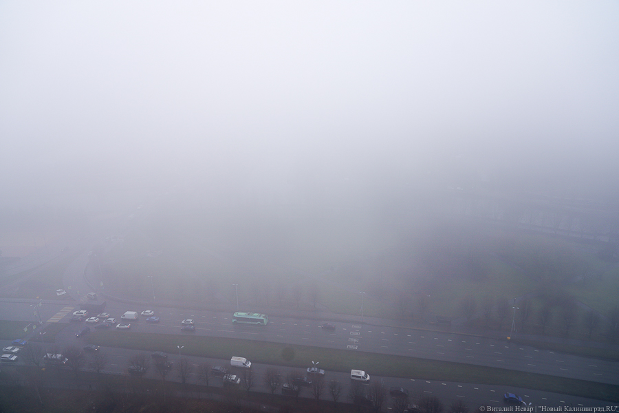 Роспотребнадзор отчитался о качестве воздуха после возгорания болота Целау