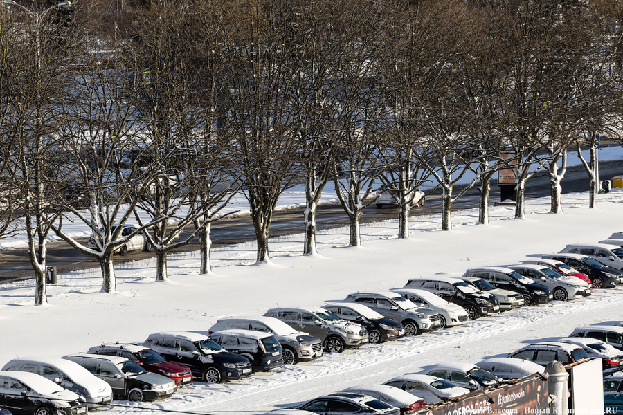 Внезапный снег: Калининград опять оказался не готов к осадкам (фото)