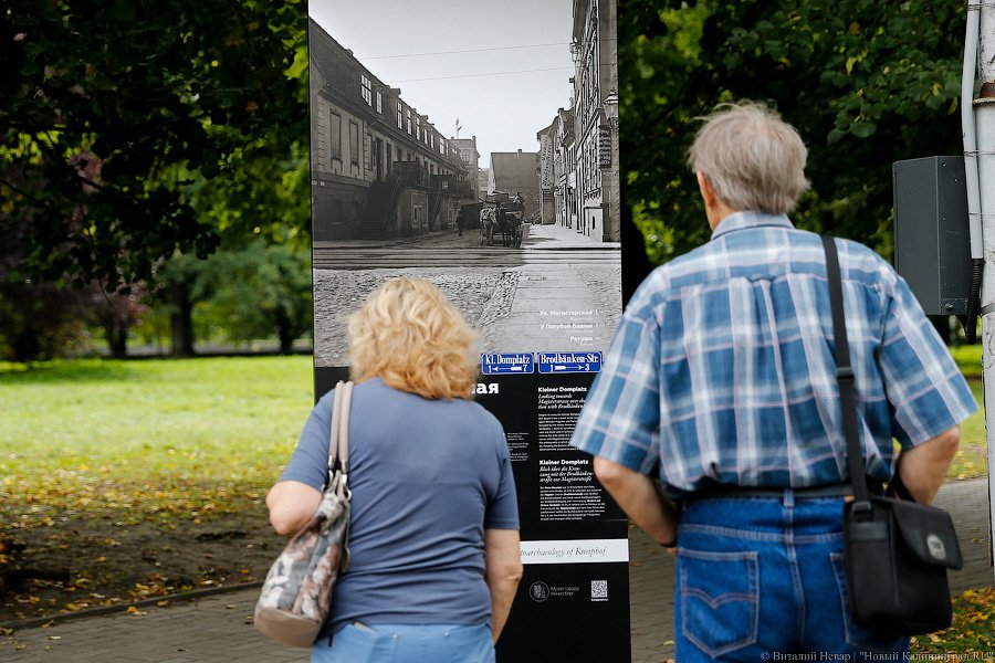 Прогулки по Кнайпхофу: о чём рассказывают новые стенды на острове Канта
