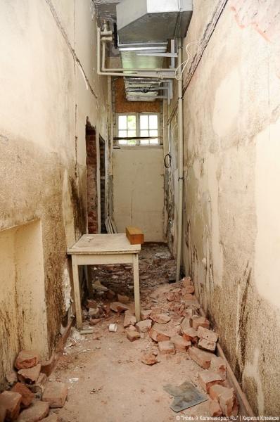 "Инфекционные горизонты": репортаж "Нового Калининграда.Ru"