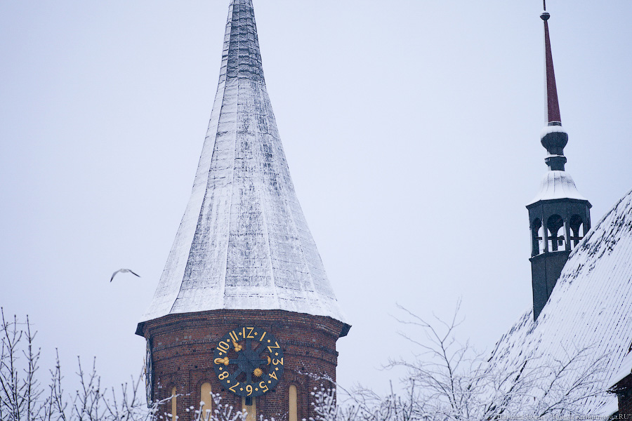 За ночь Калининград замело снегом. Вот как выглядел город утром 13 января (фото)