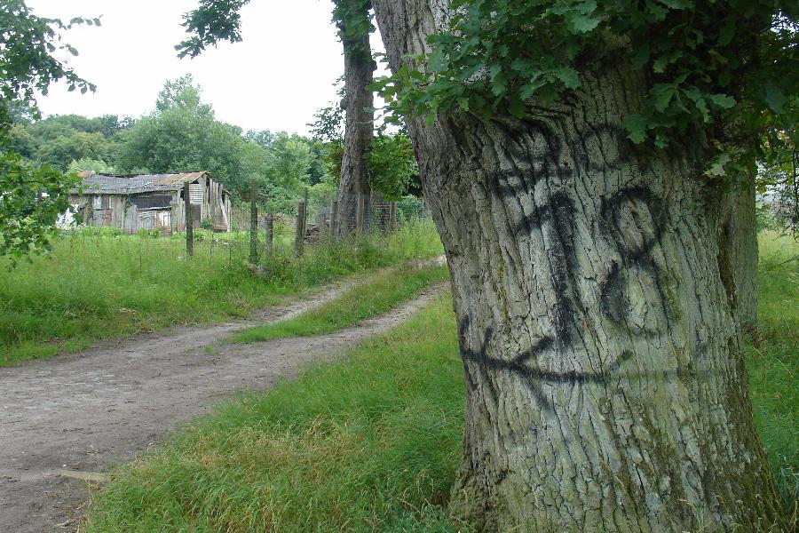 Слом истории: еще одна немецкая усадьба погибла, не дождавшись инвестора