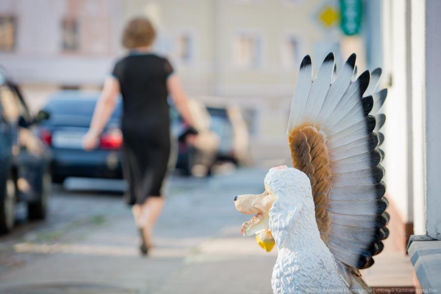 Даркемен, Ангерапп, Озёрск: как живет город с тремя именами
