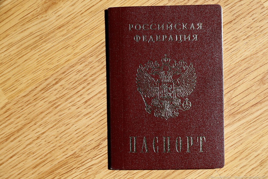 Калининградец порезал ножницами паспорта сожительницы, возбуждено уголовное дело