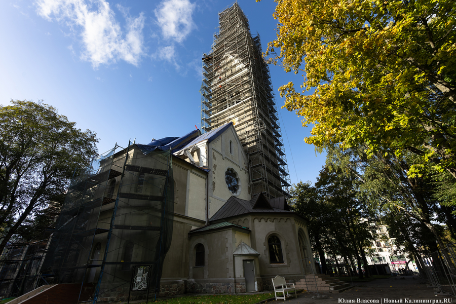 В Калининграде на крыше кирхи Королевы Луизы нашли труп мужчины