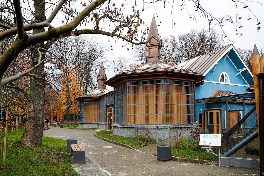 В зоопарке открыт Дом тропической птицы. Посмотрите на жако и спящего трубкозуба