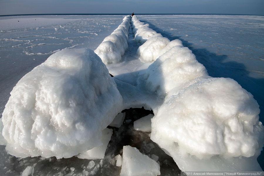 "Аки посуху": фоторепортаж "Нового Калининграда.Ru"