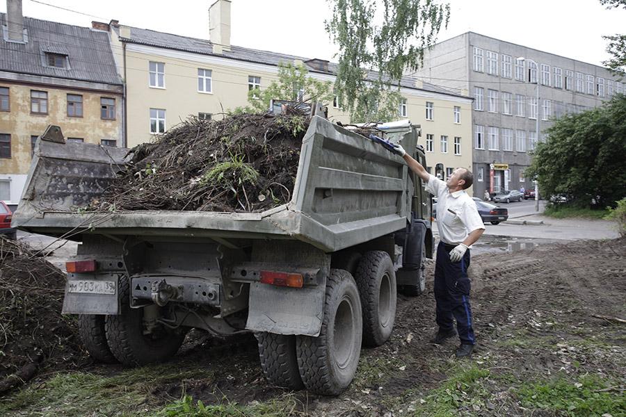 На ул. Озерова вырубили 16 тополей, участок разравнивает экскаватор (фото)