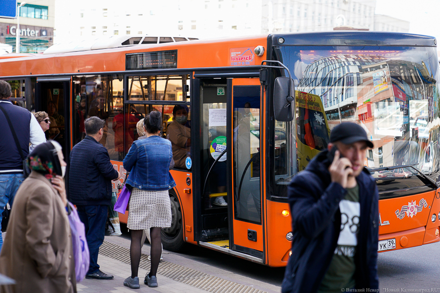 Горвласти: вечернее ожидание автобуса в Калининграде может быть вдвойне продолжительным
