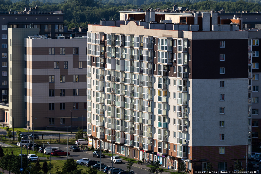 Фото: Юлия Власова / «Новый Калининград»