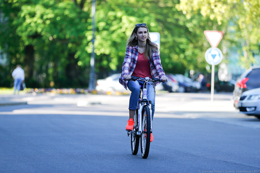 Приколесили: как калининградские чиновники в пятницу на работу добирались