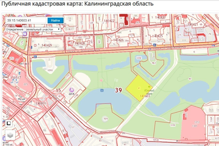 Горвласти выдали разрешение на вырубку 15 деревьев в Южном парке