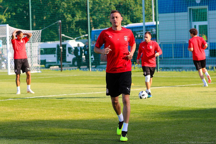 Матич, Иванович, Коларов: первая тренировка сборной Сербии в Светлогорске (фото)