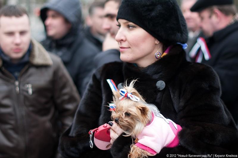 «Путинг, тосты и стабильность»: фоторепортаж с митинга в поддержку Путина  