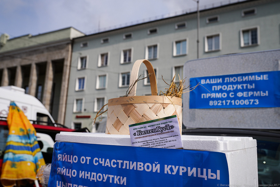 Базар-вокзал: как проходит сельхозярмарка на площади Победы в Калининграде