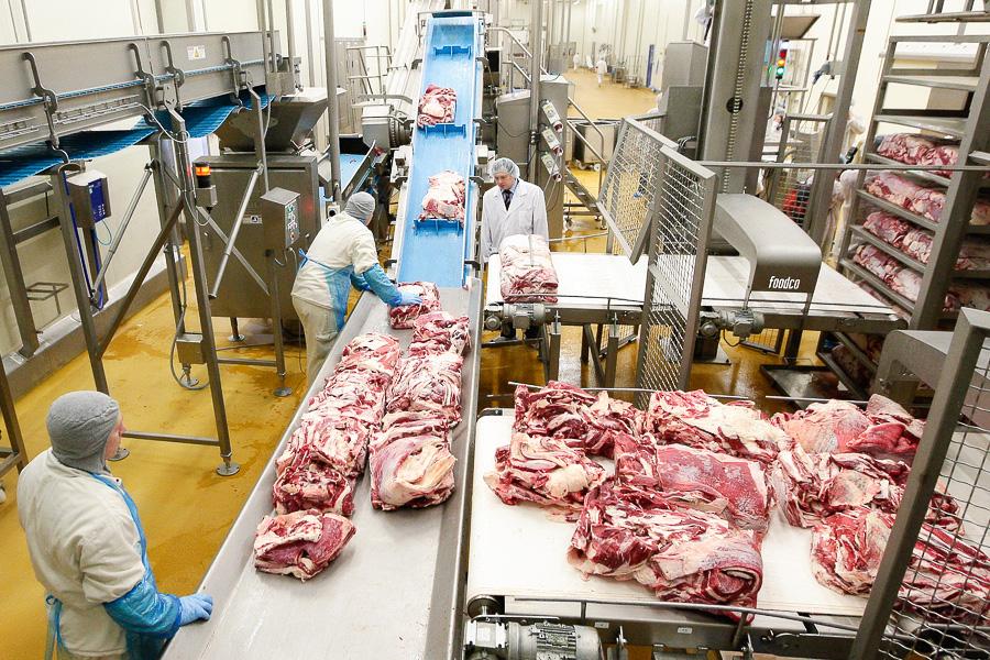 Как делают котлеты для «Макдоналдса»: вторая жизнь горевшей «Конкордии» 