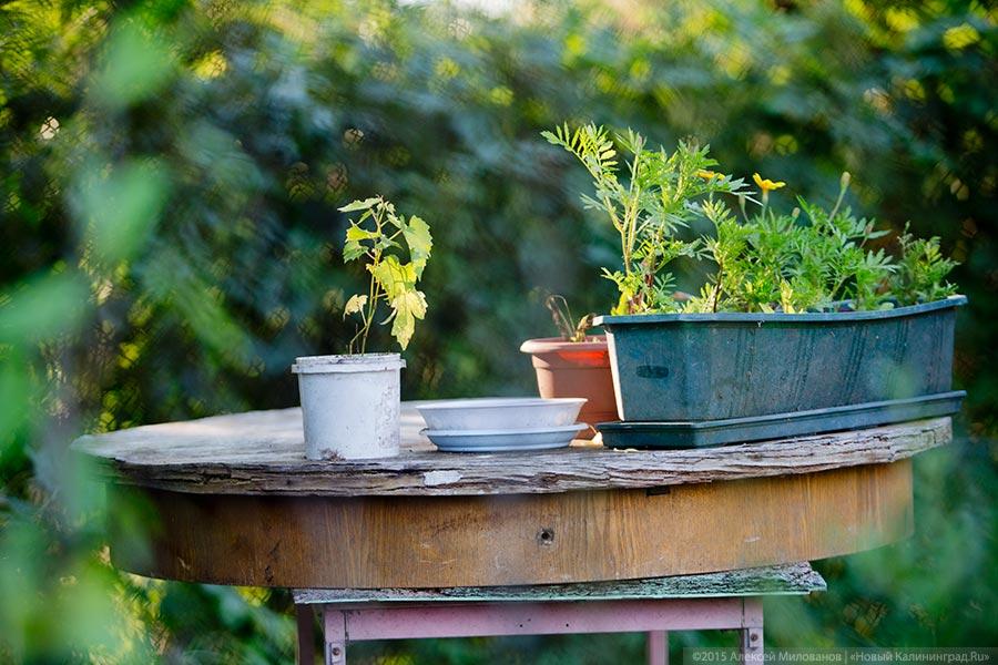 Даркемен, Ангерапп, Озёрск: как живет город с тремя именами