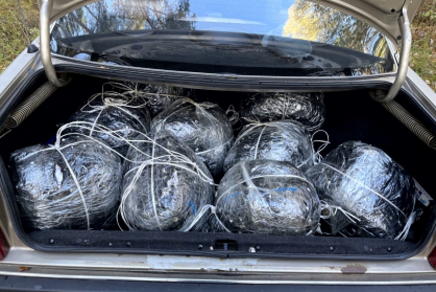 СК: в регионе осужден участник российско-литовской группы по контрабанде янтаря