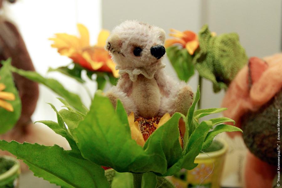 "Медвежонок Тедди и все-все-все": фоторепортаж "Нового Калининграда.Ru"