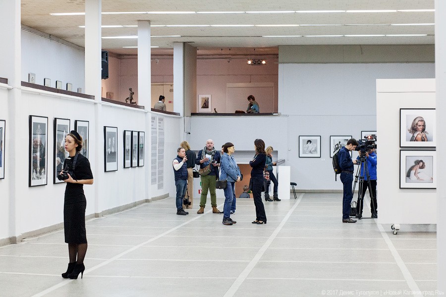 Фото — Виталий Невар, «Новый Калининград»