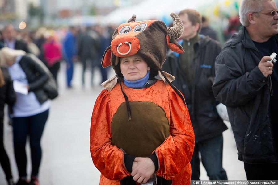 «Процветает всё кругом»: трёхлетие губернатора отметили муниципальным фестивалем (фото)